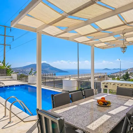 Palm Kalkan