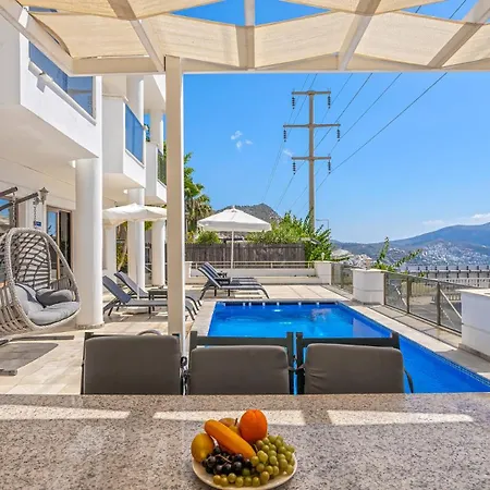Palm Kalkan Villa *