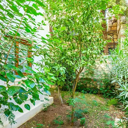 Palm Kalkan