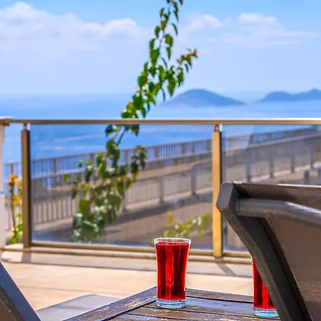 Palm Kalkan Kaş