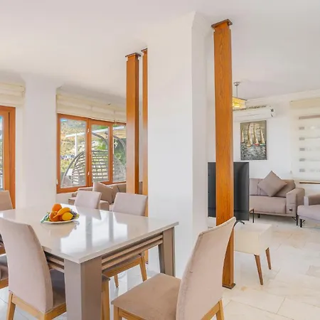 Palm Kalkan Villa *
