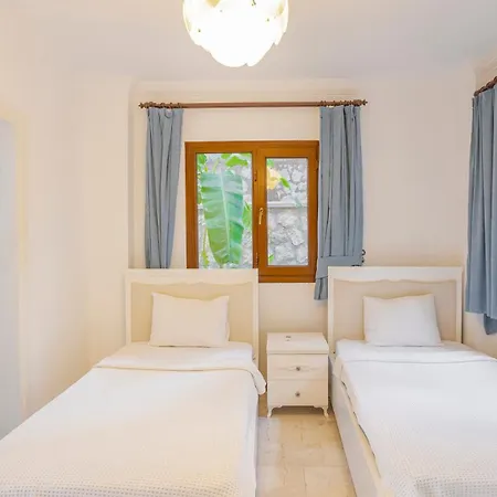 Palm Kalkan *