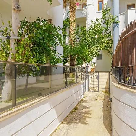 Palm Kalkan *