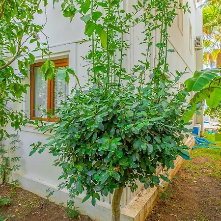Palm Kalkan Вилла
